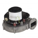 Ventilateur RG 148 pour GPCONDENS 60 kW - STYX : 60003033
