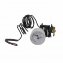 Thermomanomètre noir capillaire - DIFF pour Bosch : 87168249050