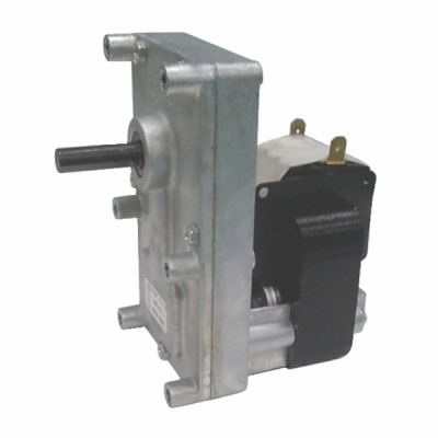 Moteur vis 2 RPM poêle SIR/TERMO/GLO/OR/DOMUSFIRE - FERROLI : 599000230