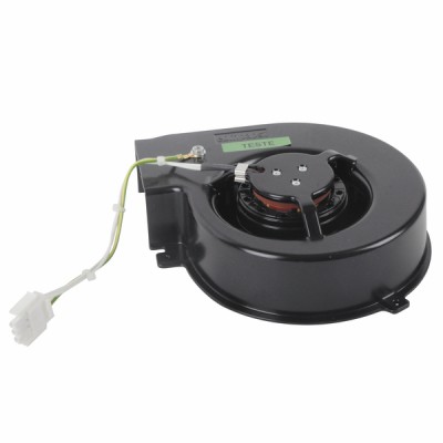 Ventilateur équipé GBT20 - GEMINOX : 87168052120