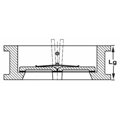 Clapet battant double fonte DN65 - DIFF