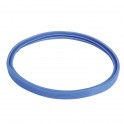 Scellant bleu de silicium 100mm - AOSMITH : 0303943(S)