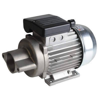 Moteur standard bride Néma 2 non ventilé 220V 250W - DIFF