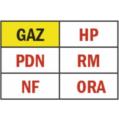 Électrovanne gaz M16 RM NF 6b FF3/4" 230Vac - MADAS : CO03C0000 008