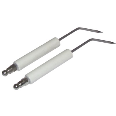 Électrode spécifique A6G (X 2) - DIFF pour Zaegel Held : Z229200899