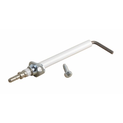 Sonde ionisation complète - DE DIETRICH CHAPPEE : 86665521