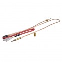 Thermocouple - CHAFFOTEAUX : 990121